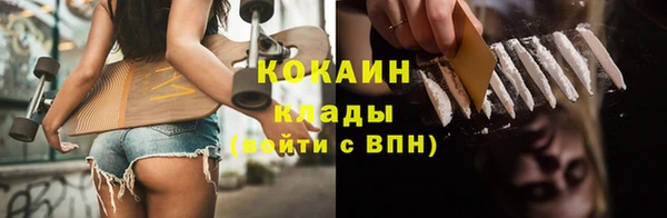 сатива Арсеньев