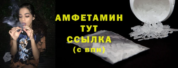 сатива Арсеньев