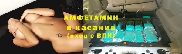 сатива Арсеньев