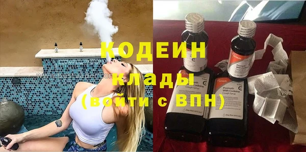 сатива Арсеньев