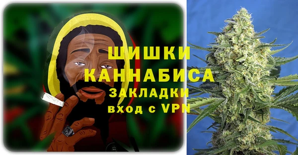 сатива Арсеньев