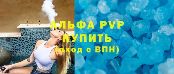 сатива Арсеньев